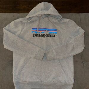 Mens size medium gray Patagonia hoodie